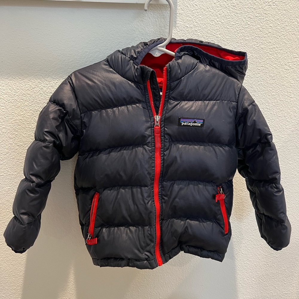 Patagonia Hi-Loft Down Sweater Hoody